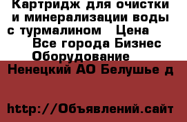 Картридж для очистки и минерализации воды с турмалином › Цена ­ 1 000 - Все города Бизнес » Оборудование   . Ненецкий АО,Белушье д.
